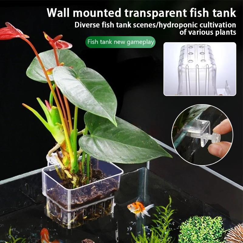 Hanging Planter Basket - Aquarium hangende plantenbakjes, wandgemonteerde houder voor