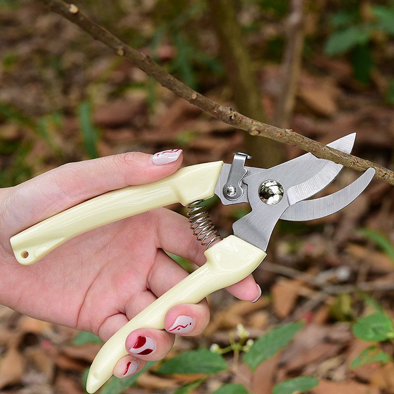 Gardening Yard Tools - Arbeidsbesparende tuinsnoeischaar, professionele handknipper voor het