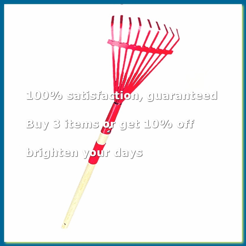 Kinderhark met hardhouten stee - Gardening Tools For 3 Year Old recensie en prijs