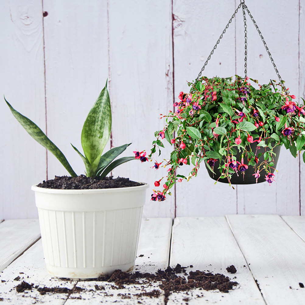 6 stuks hangende mandkettingen - Hanging Planter Basket recensie en prijs