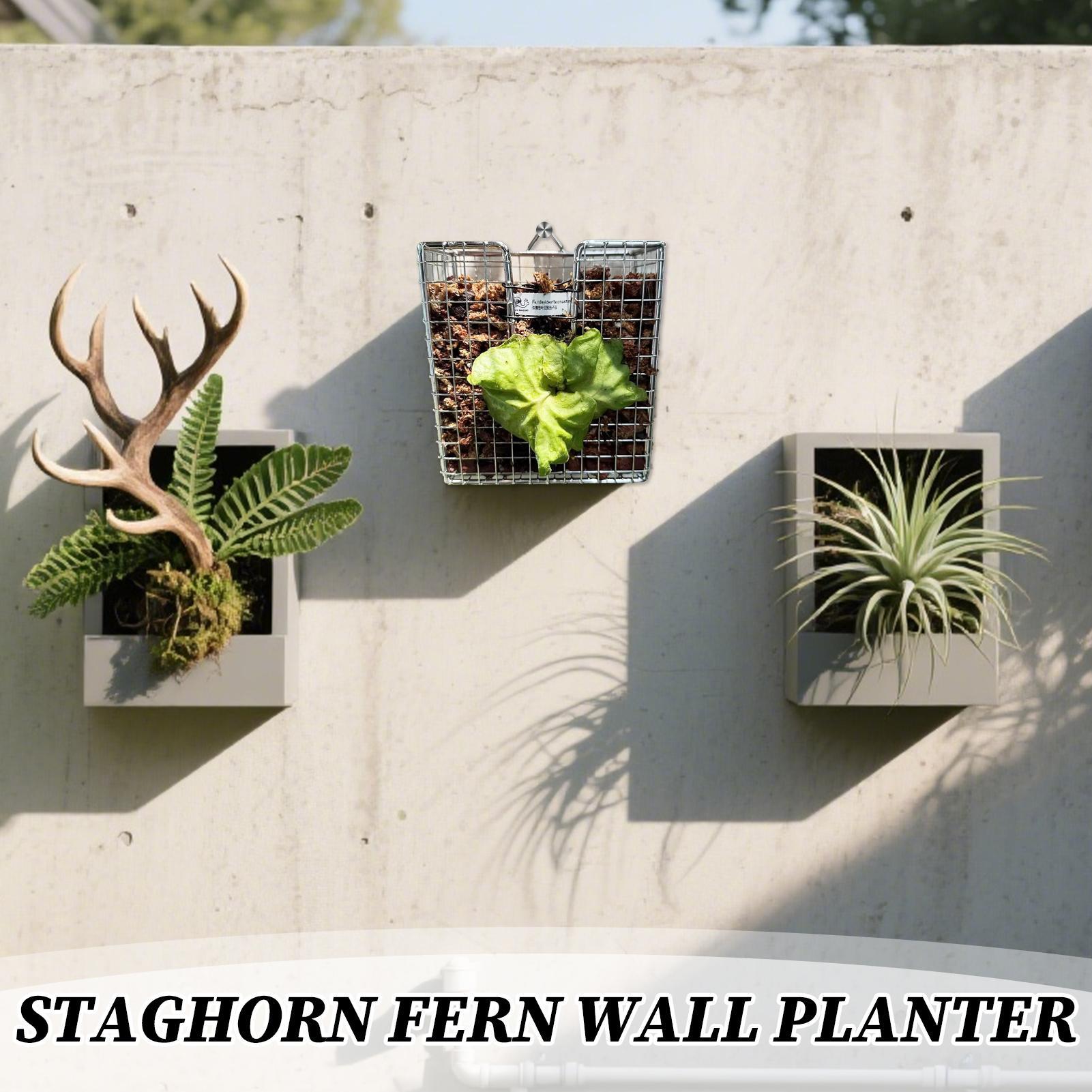 Staghorn Fern-montageset roest - Hanging Planter Basket recensie en prijs
