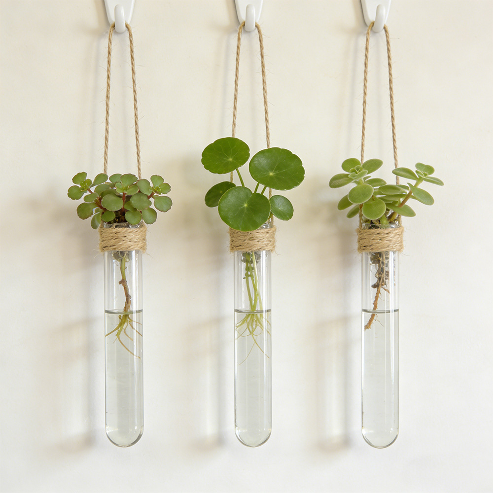 Hydroponische bloemenvaas aan  - Hanging Planter Basket recensie en prijs