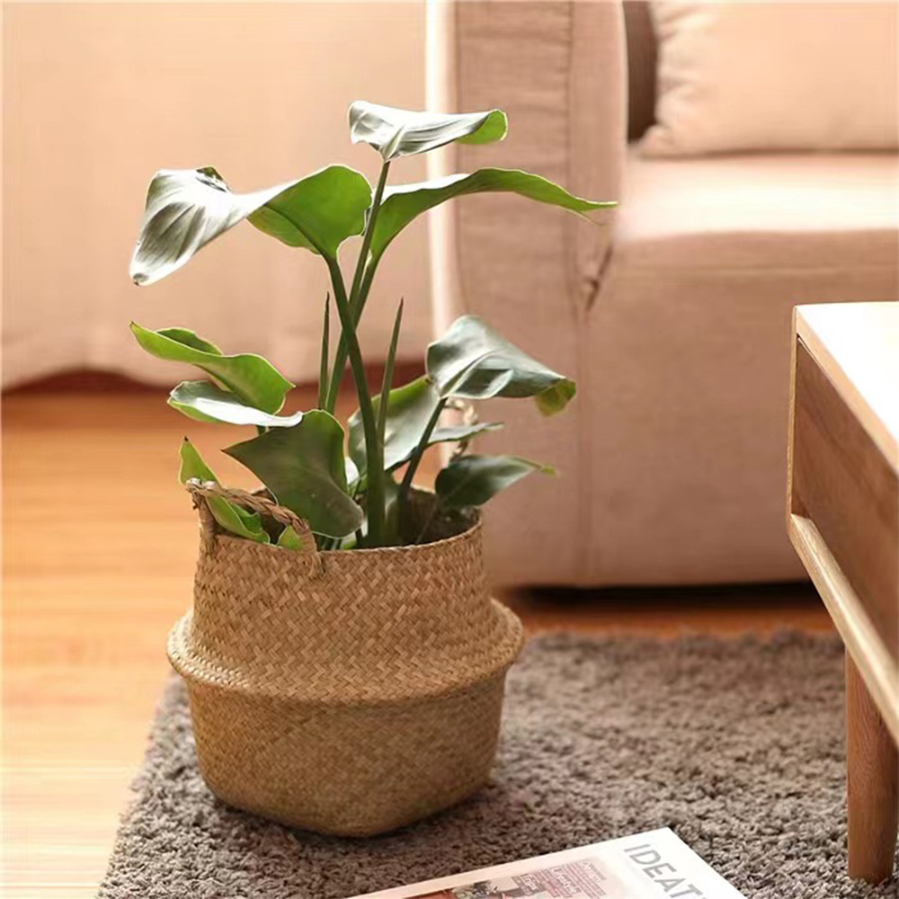 Plantenmand met handvatten Rie - Hanging Planter Basket recensie en prijs