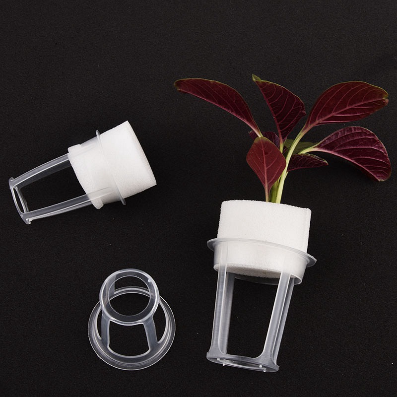50 Stuks Hydrocultuur Plantenm - Hanging Planter Basket recensie en prijs
