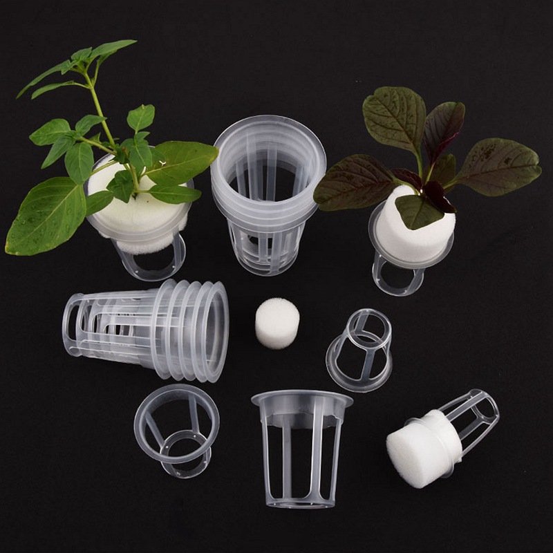 50 Stuks Hydrocultuur Plantenm - Hanging Planter Basket recensie en prijs