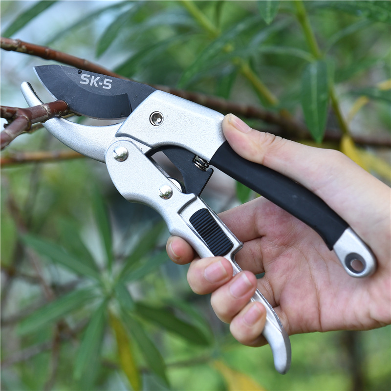 Nieuwe 20 Cm Ratel Plant Trim  - Garden Hand Trowel recensie en prijs