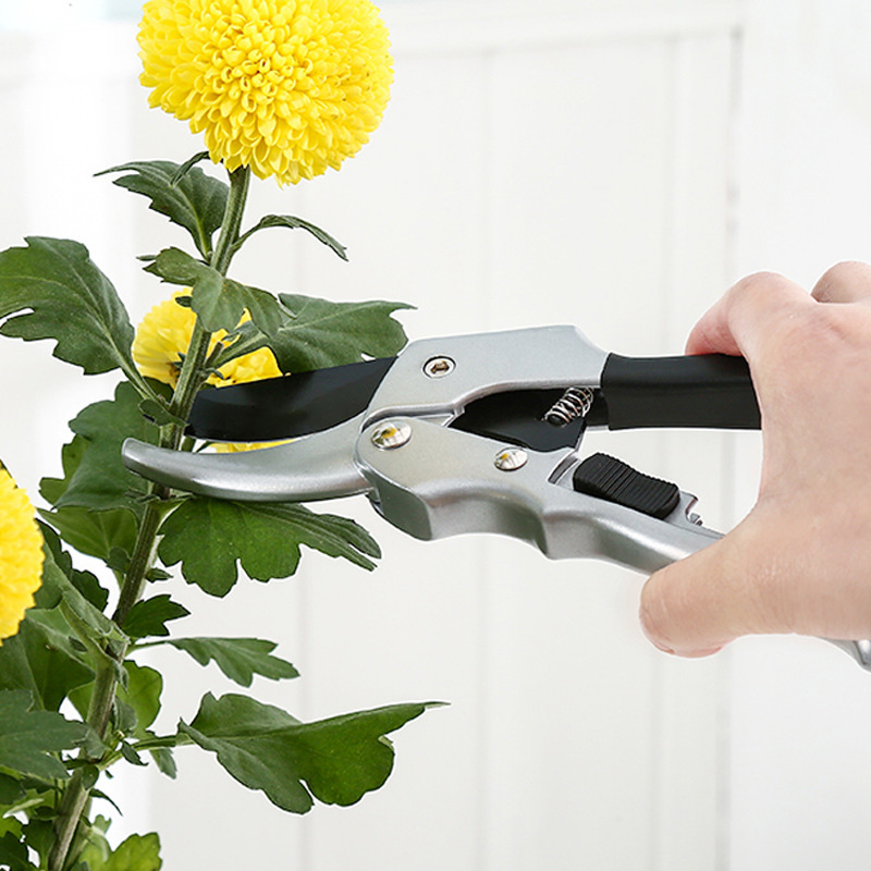 Nieuwe 20 Cm Ratel Plant Trim  - Garden Hand Trowel recensie en prijs